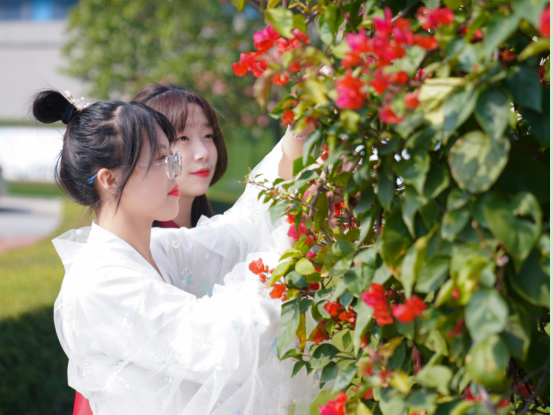 (li)VA(hu)Ҋ(jin)Щ˺Щ